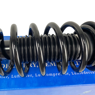 Tesla 3-Y 2WD Frontluftfederungsschlag