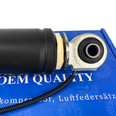Rücken OEM Ersatz 84178213 Stoßdämpfer für Lincoln mkc