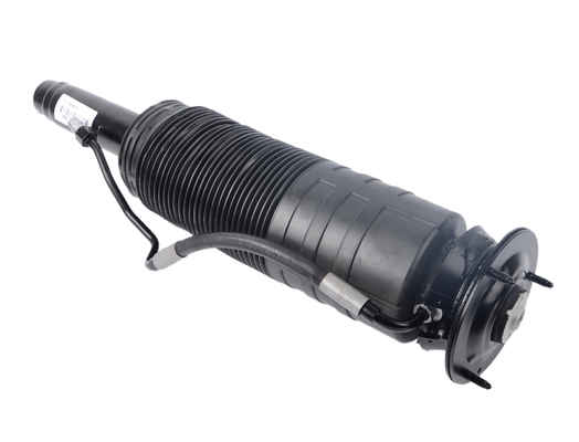 Aktive Körpersteuerung Hydraulischer Schlagdämpfer 2203208313 2203208413 Für langlebige Leistung Für W220 W215