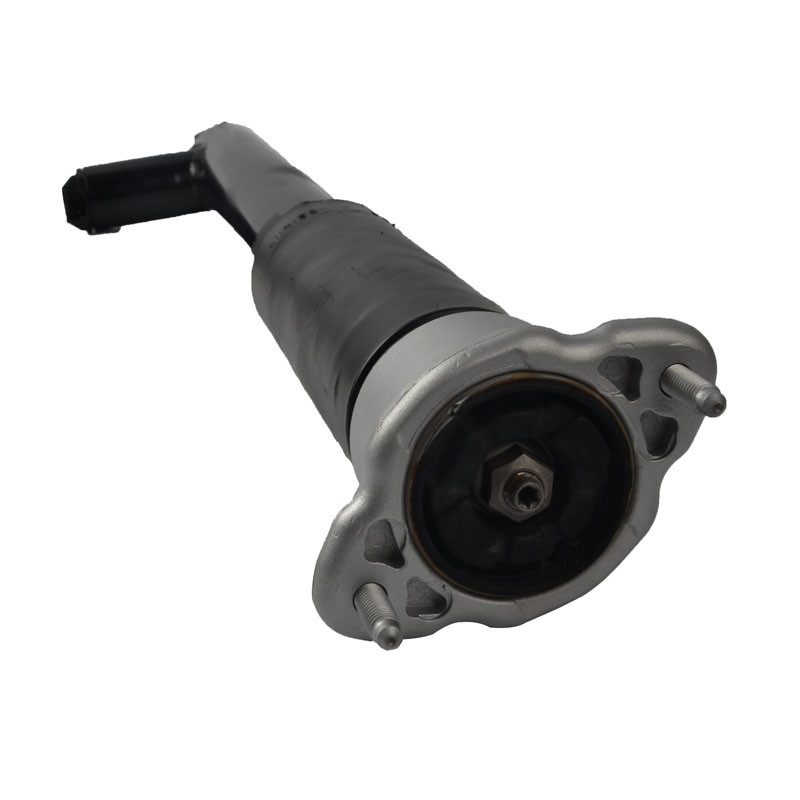 W212 Stoßdämpfer 2123201530 2123201630 Für Mercedes Luftfederbein-Reparatursätze hinten
