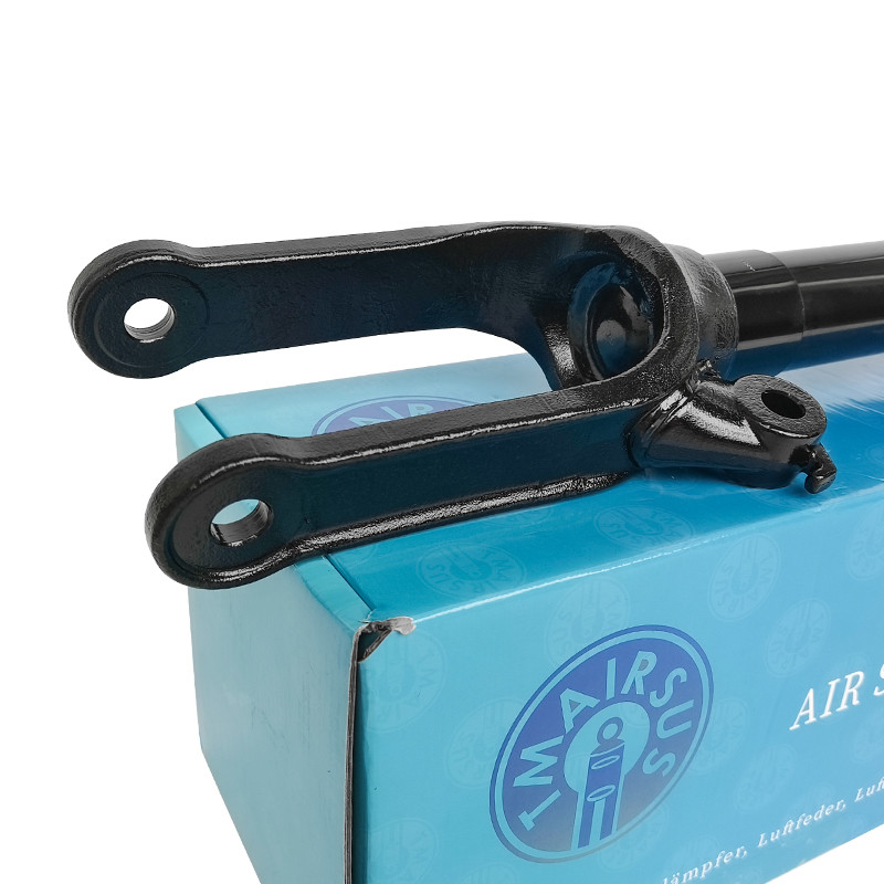 Stoßdämpfer 2513200730 2513203013 2513201931 2513202231 Für Mercedes-Benz W251 Vorderseite R-Klasse 2006-2010