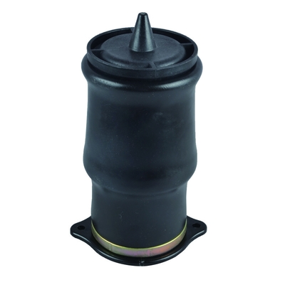 6393280101 6393280201 hintere Luft-Frühlings-Suspendierungs-Teile für Mercedes Benz W639 2003-2014
