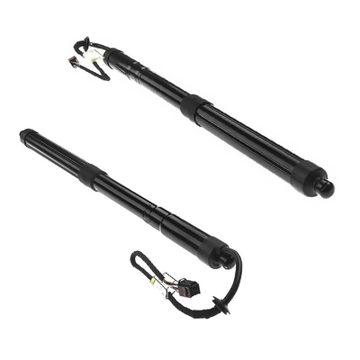 Linke Seiten-Assy Power Tail Gate For Hyundai Santa Genuine Soem 817702W600