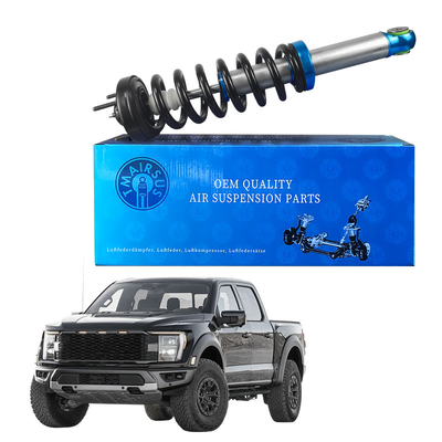 Schlagdämpfer für Ford F150 Leistung und Haltbarkeit