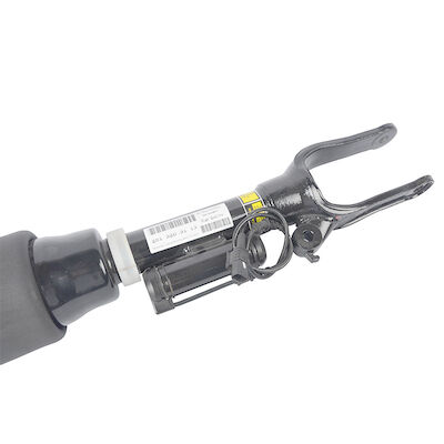 Suspendierungs-Federbein der Luft-242513203013 für MERCEDES-BENZ W251 R - Klassen-Luft-Stoßdämpfer