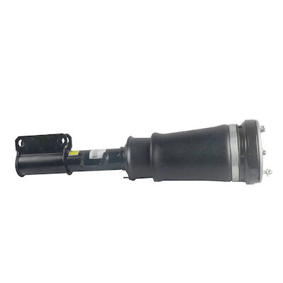 37116761443 37116761444 Luft-Gebrüll-Suspendierungs-Stoßdämpfer Front Air Suspension Strut Fors BMW E53