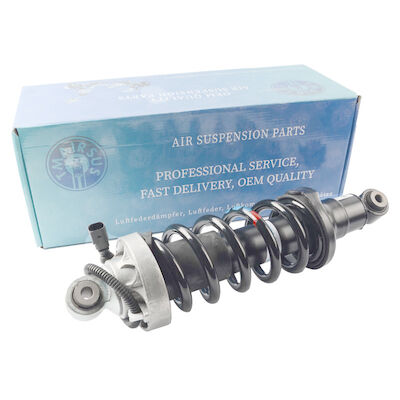 Deutsches Auto Audi R8 Front Air Spring Shock Absorber 420412019AG 420412020AG